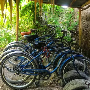 Guarumbo Guest house